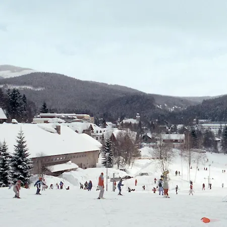 Διαμέρισμα Appartementhaus Harrachovka 102w Harrachov